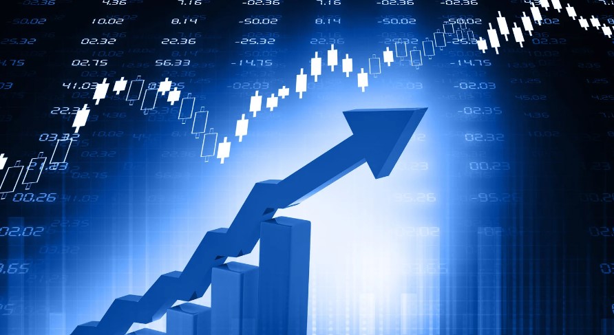 How Many Shares Does a Company Have at Initial