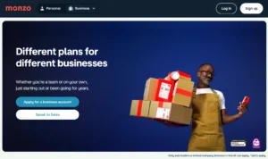 Monzo Business Lite