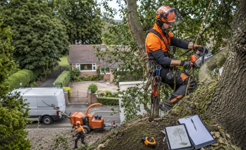 tree surgeon hourly rate uk