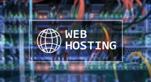 SeekaHost’s Web Hosting Services