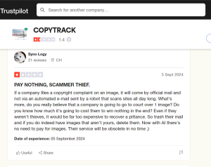 Reviews on Trustpilot copytack 4