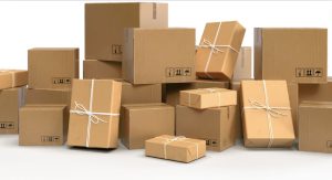 What Makes the Princess Royal Parcel Hub Crucial to Delivery