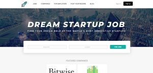 Dream Startup Job