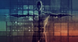 Role of Startups in Wellness Solutions