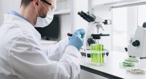 What Does a Marine Biologist