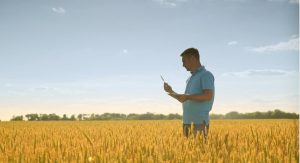 How Can Businesses Implement Agrawau