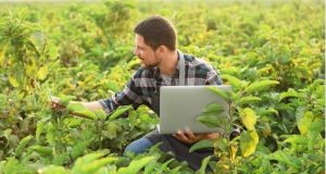 How Does Agrawau Revolutionize Business Practices