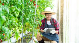 What Are the Key Features of Agrawau in Business