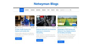 What is Netwyman Blogs