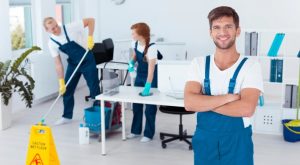 Comprehensive Training and Support