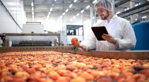 What Is the Current State of the UK Food Processing Industry