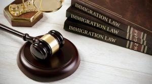 The Pace and Scope of Immigration Law Changes