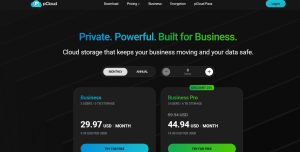 pCloud Business